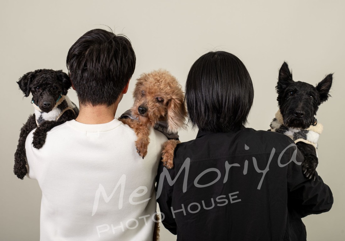 毎年、結婚結婚記念日にワンチャンたちと撮影にお越しいただいているお客様が来店されました。今回のテーマは、マタニティ。おめでとうございます。マタニティと言いながら、今回もワンちゃんたちを中心に楽しく撮影させていただきました。次回は、元気な赤ちゃんを拝見させてください。