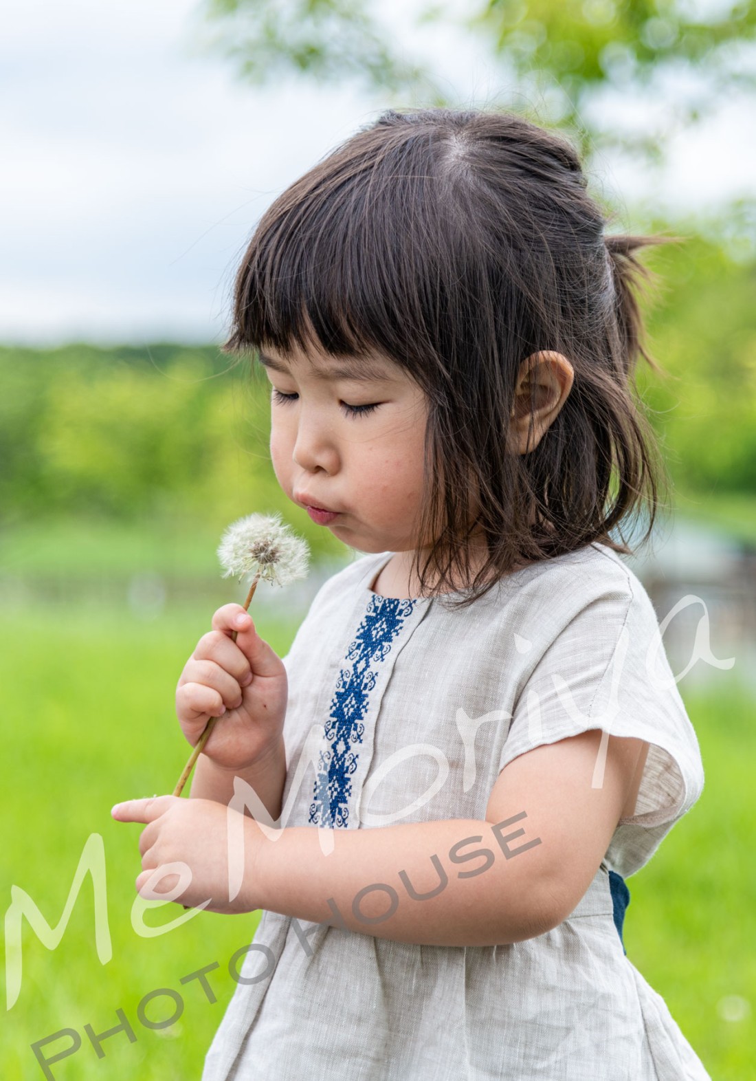 お子様の記念日に何度も撮影にお越しいただいているご家族です。今回は、3歳のお嬢様の成長記録。スタジオ近くの森林公園とスタジオで撮影させていただきました。ブランコも平気。タンポポの綿毛は前日の雨でしけって、ふぅふぅと吹いても上手く飛びませんでした。